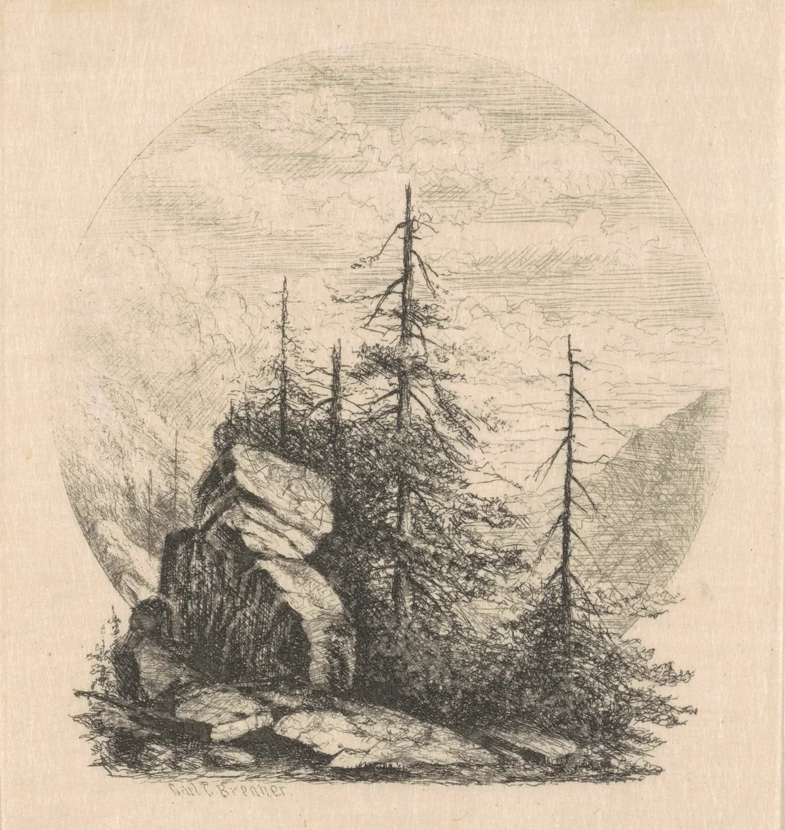 Pines by Carl Brenner, print, 1870-1888