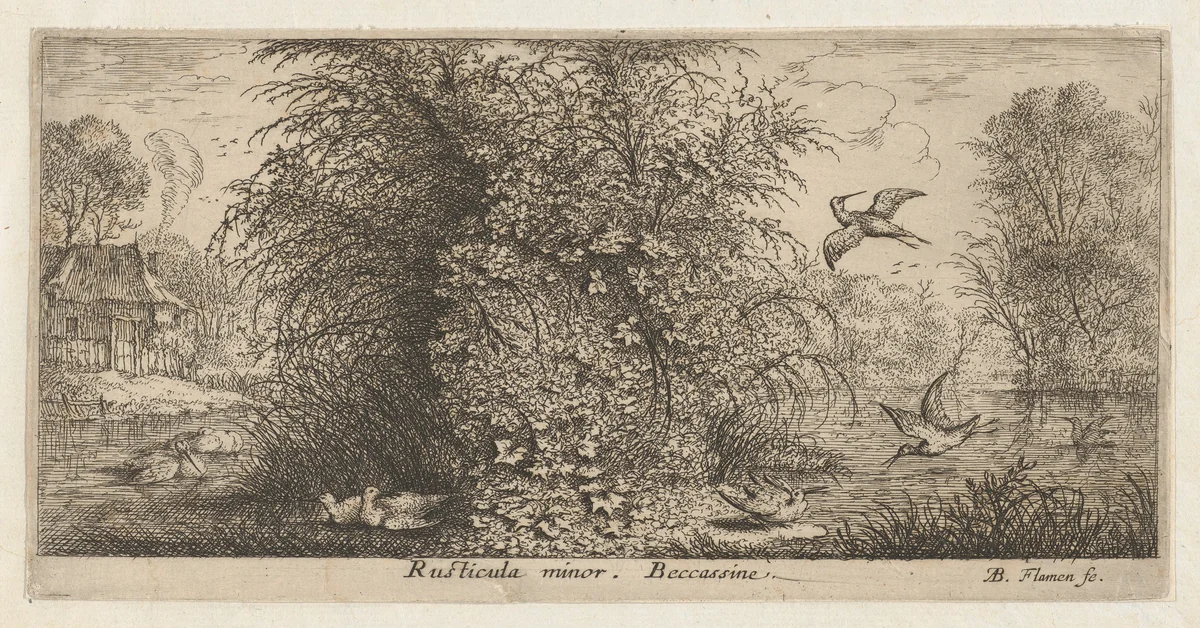 Rusticula minor, Beccassine (The Snipe), from "Livre d'Oyseaux" (Book of Birds) by Albert Flamen, print, 1650-1665