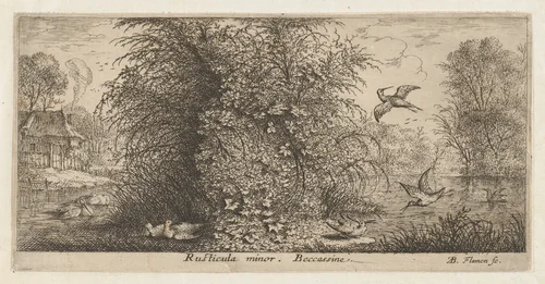 Rusticula minor, Beccassine (The Snipe), from "Livre d'Oyseaux" (Book of Birds) by Albert Flamen, print, 1650-1665