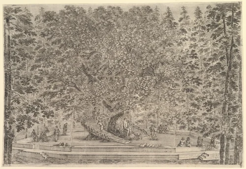 A large tree with people below, from "Views of the villa at Pratolino" (Vues de la villa de Pratolino) by Stefano della Bella, print, 1648-1658