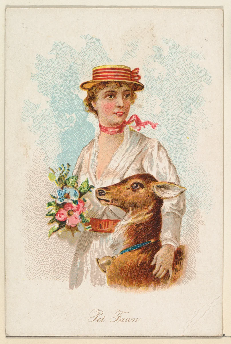 Pet Fawn, from the Household Pets series (N194) issued by Wm. S. Kimball & Co. by William S. Kimball & Company, print, 1891