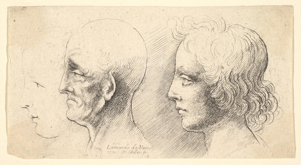 Three profile heads, one in outline only by Wenceslaus Hollar, print, 1644-1652