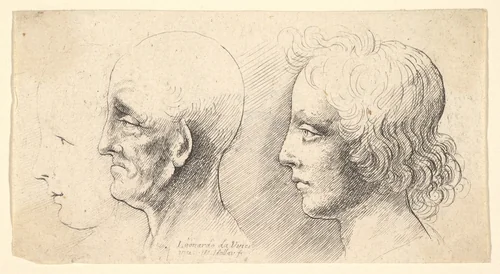 Three profile heads, one in outline only by Wenceslaus Hollar, print, 1644-1652