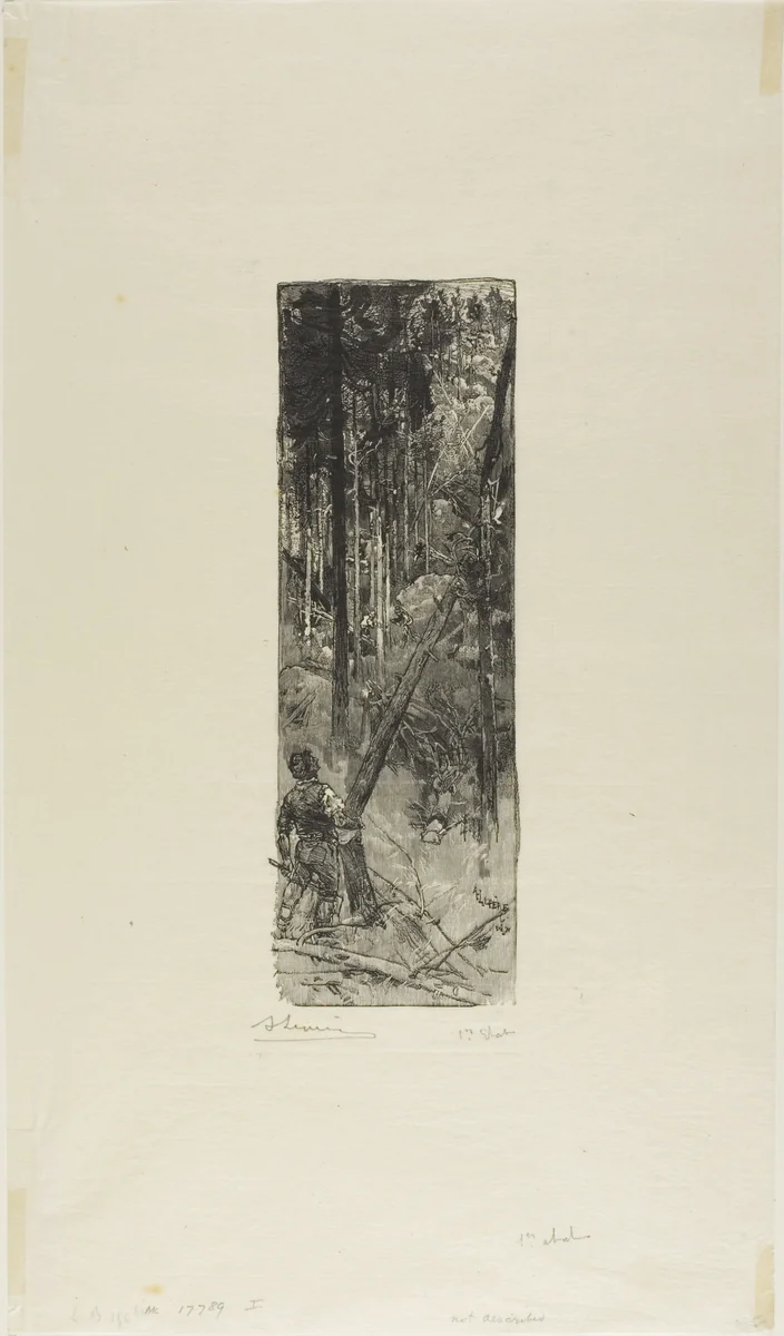 Falling Pines by Louis Auguste Lepère, print, 1908