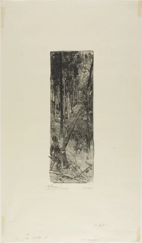 Falling Pines by Louis Auguste Lepère, print, 1908