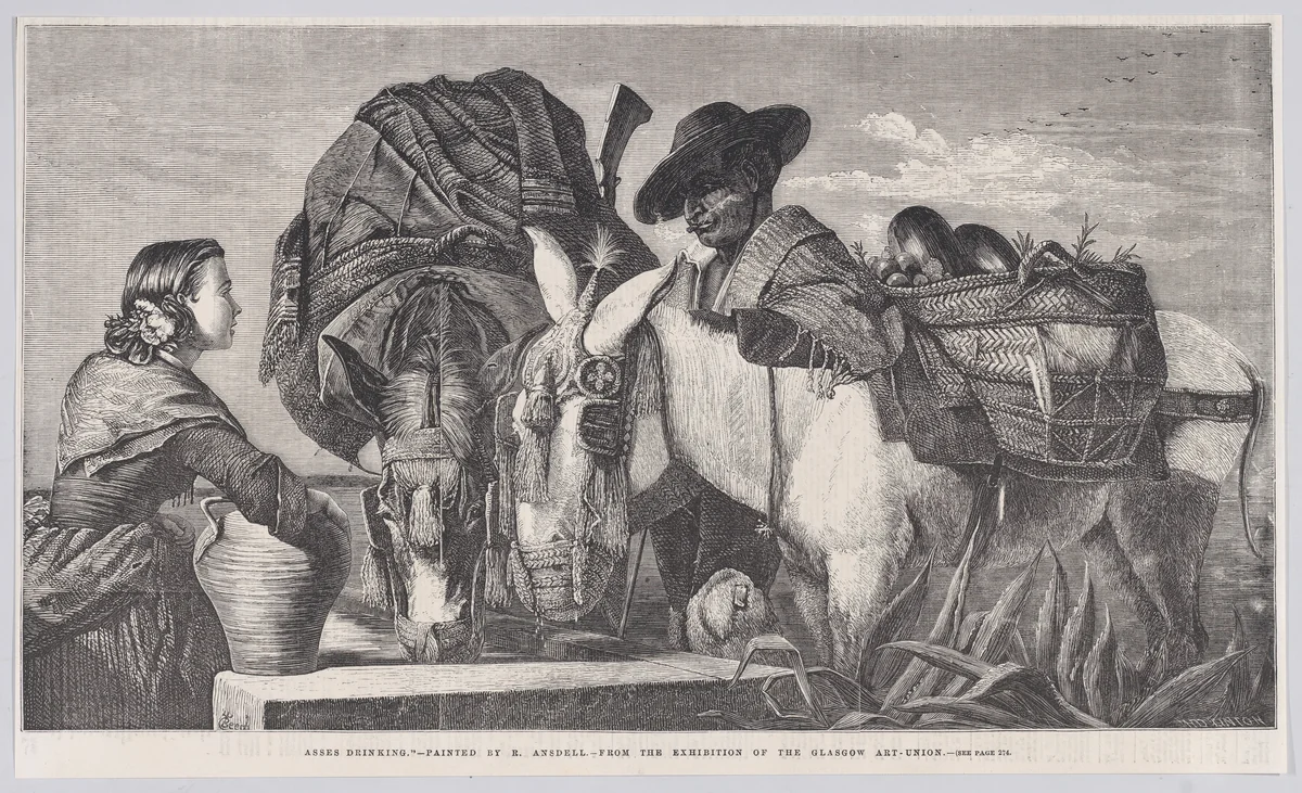 Asses Drinking, from "Illustrated London News" by Henry Linton, print, 1858