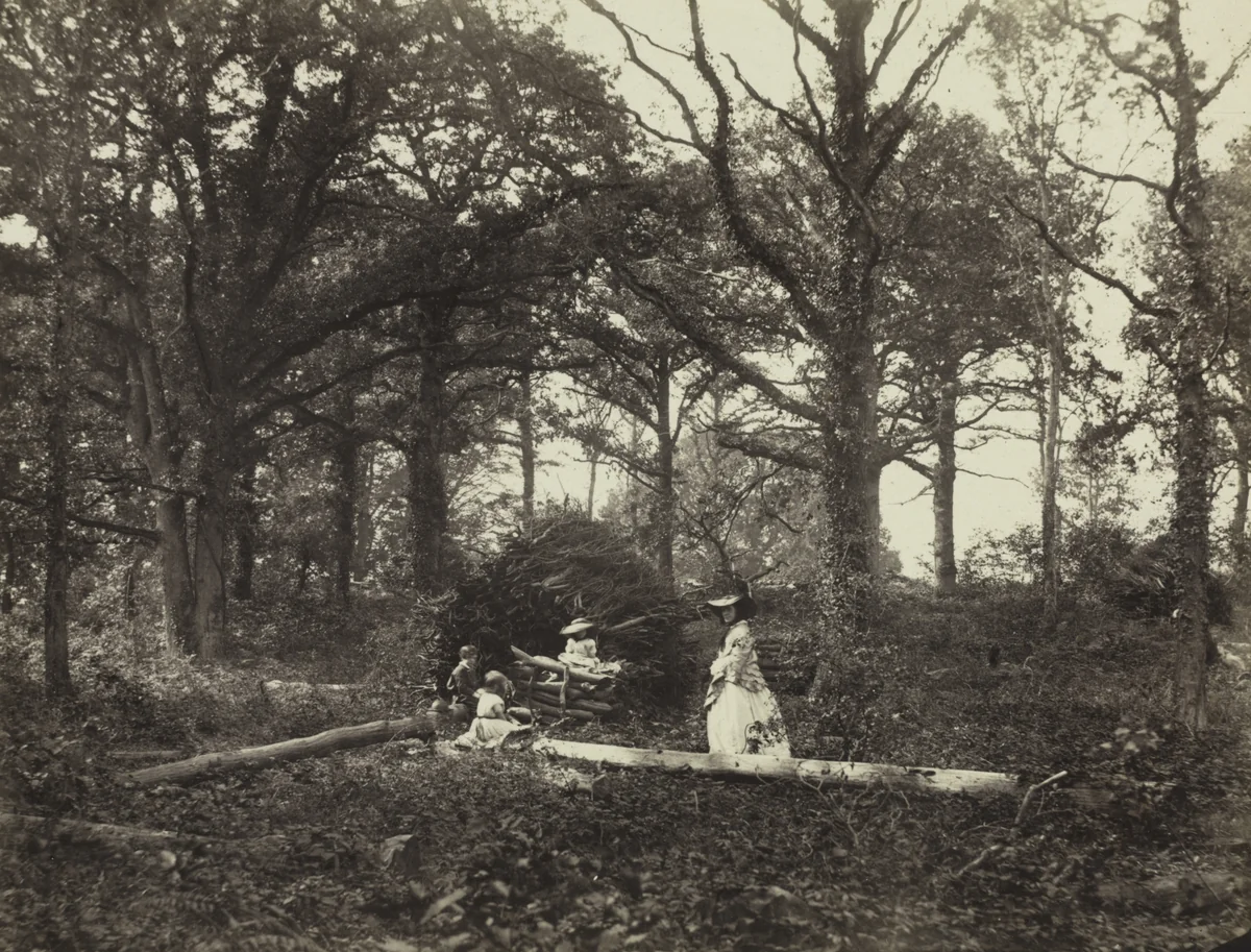 Landscape by Henry White, photograph, 1856