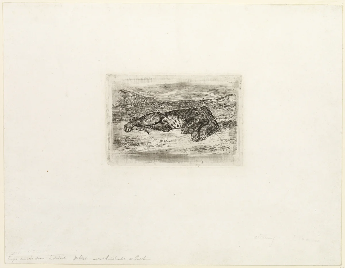 Tiger Resting in the Desert by Eugène Delacroix, print, 1846