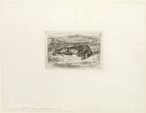 Tiger Resting in the Desert by Eugène Delacroix, print, 1846