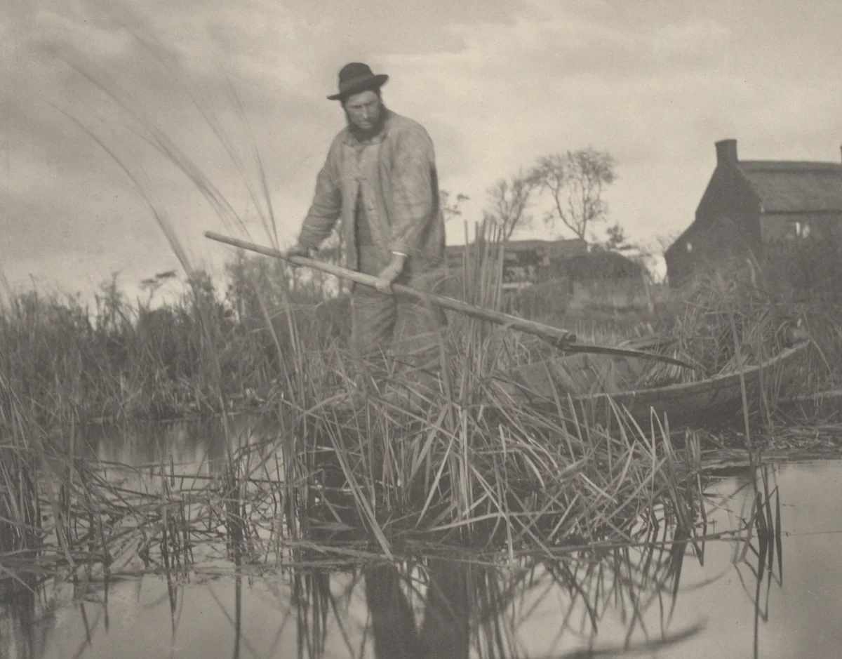 Cutting the Gladdon by T. F. Goodall, Peter Henry Emerson, photograph, 1886