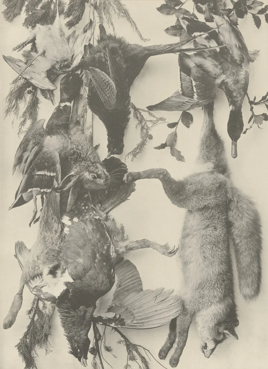 Page from Festons und Dekorative Gruppen by Unidentified Photographer, photograph, 1893