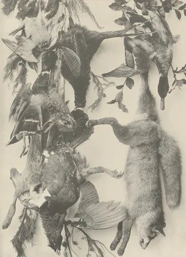 Page from Festons und Dekorative Gruppen by Unidentified Photographer, photograph, 1893