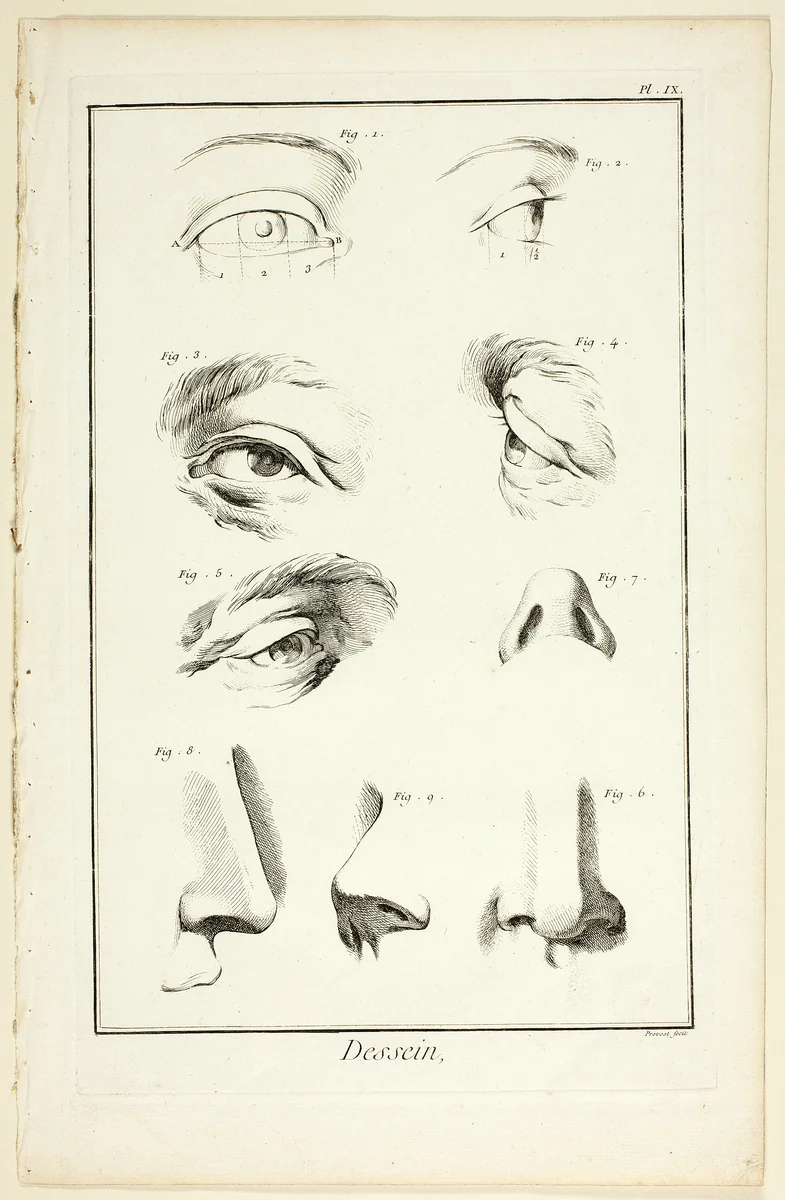 Design: Facial Anatomy from Encyclopédie by Benoît-Louis Prévost, print, 1762-1777