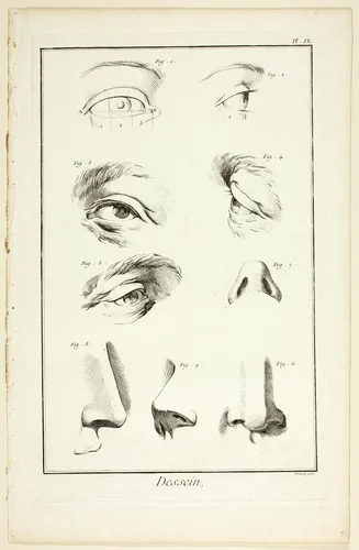 Design: Facial Anatomy from Encyclopédie by Benoît-Louis Prévost, print, 1762-1777