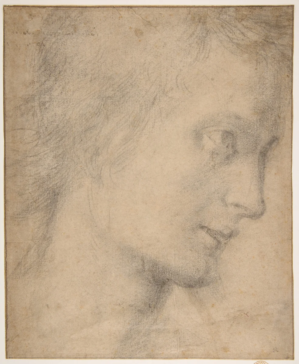 Head of a Youth in Profile (recto); Study of a Seated Figure (verso) by Giovanni Antonio Sogliani, drawing, 1515-1535