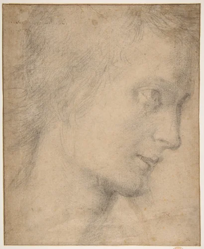 Head of a Youth in Profile (recto); Study of a Seated Figure (verso) by Giovanni Antonio Sogliani, drawing, 1515-1535