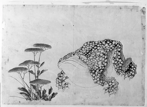 Toad and Flowers by Hokusai School, painting, 1800-1868