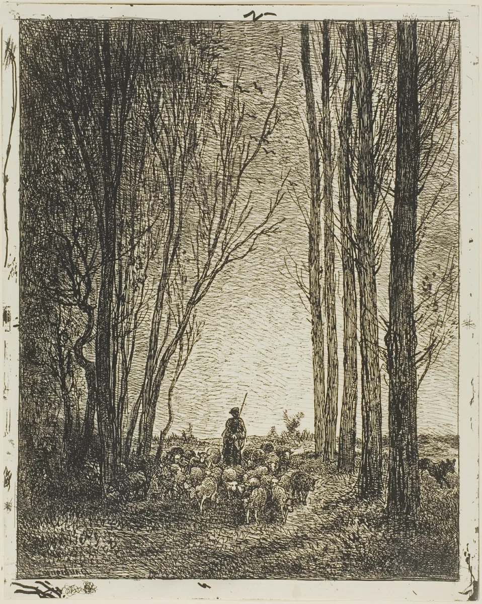 Return of the Flock by Charles-François Daubigny, print, 1862
