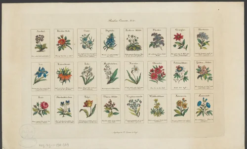 Vlierbloesem, hortensia en andere bloemen by anonymous, print, 1780-1830