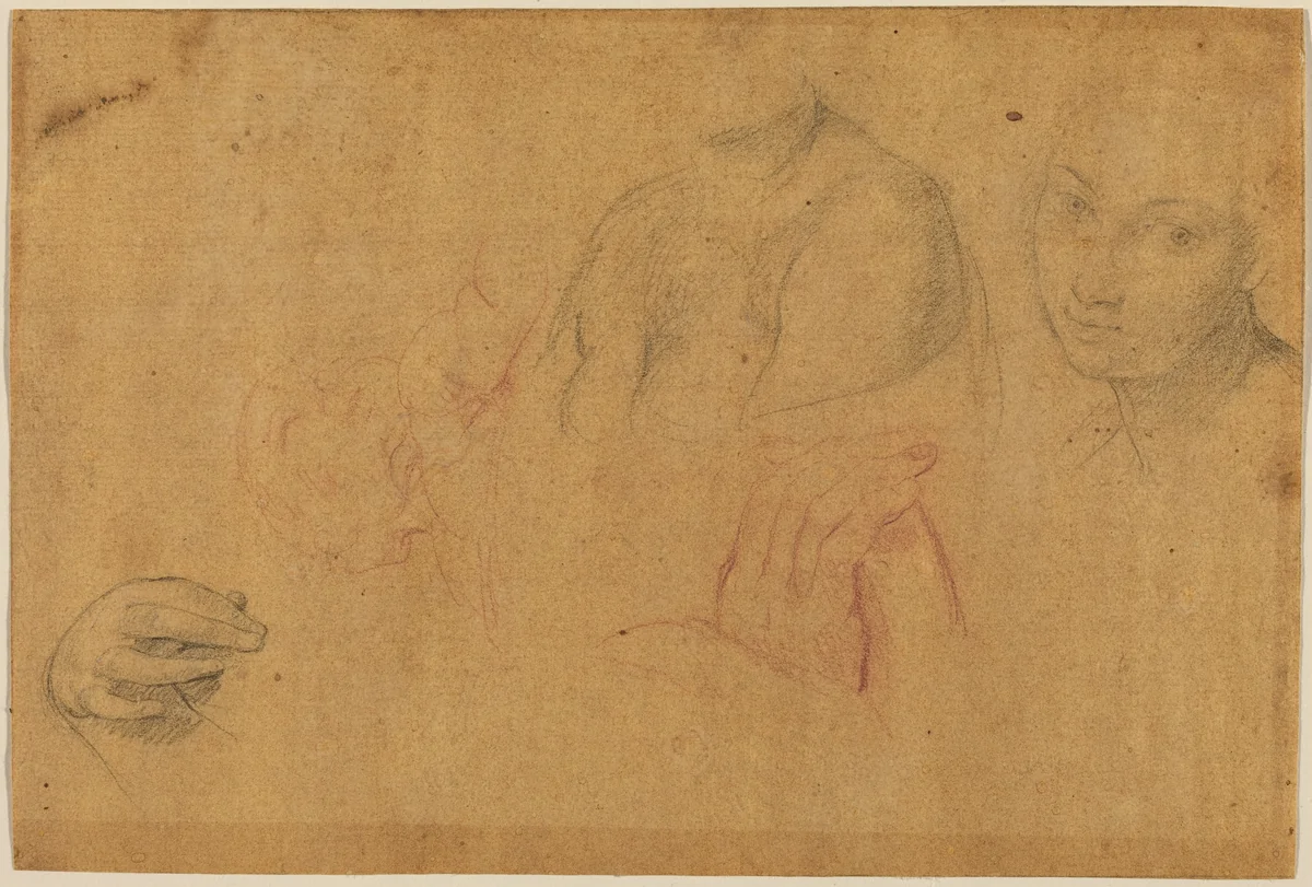 Sketches of Heads and Hands by Pompeo Batoni, drawing, 1708-1787