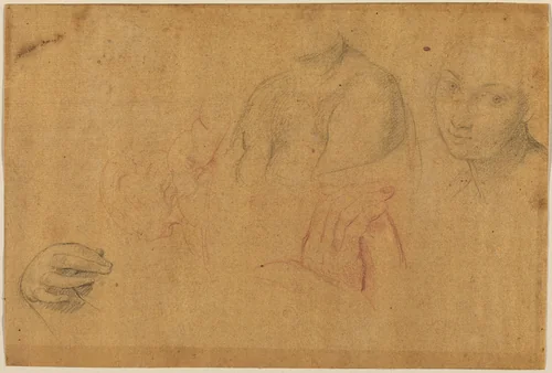 Sketches of Heads and Hands by Pompeo Batoni, drawing, 1708-1787