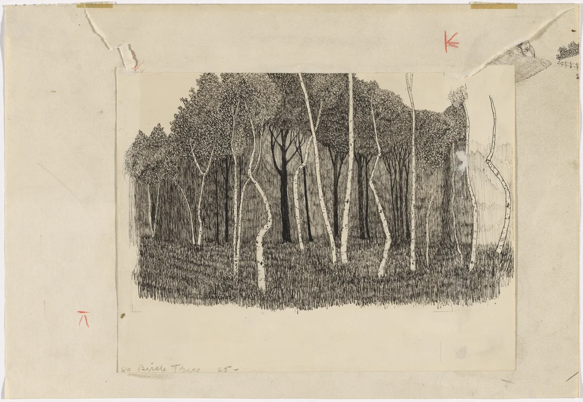 Birch Trees by Emile Branchard, drawing, 1930