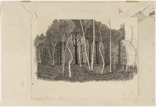 Birch Trees by Emile Branchard, drawing, 1930