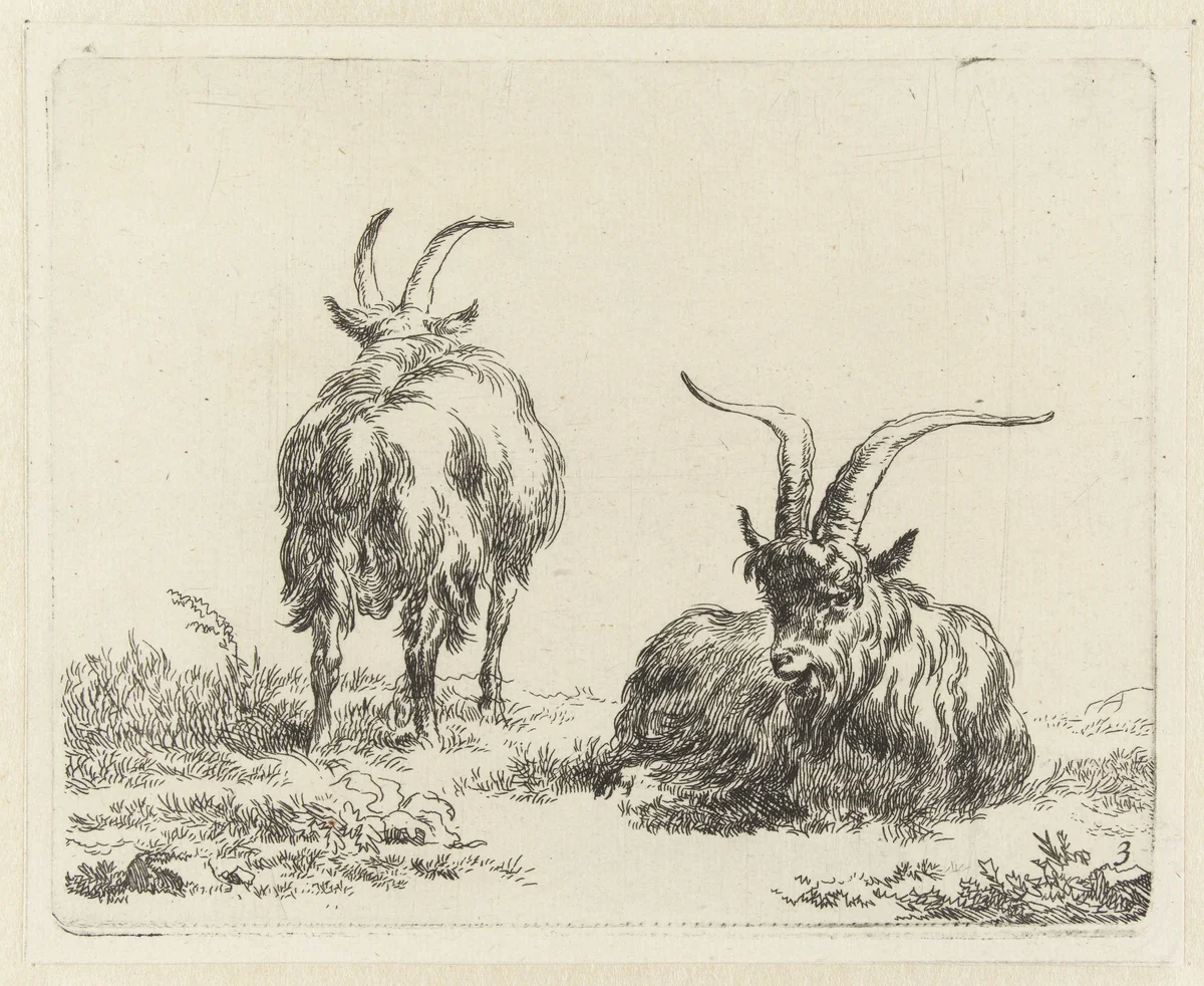 Staande en liggende geit of bok by Nicolaes Pietersz Berchem, print, 1648-1652