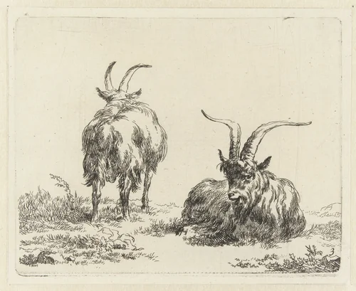 Staande en liggende geit of bok by Nicolaes Pietersz Berchem, print, 1648-1652