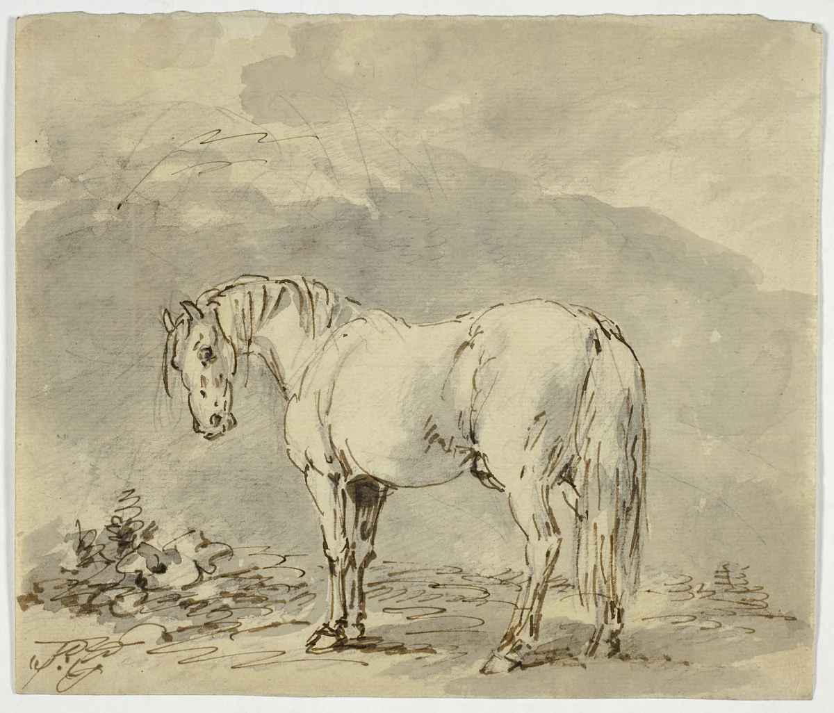 Standing Horse with Head Turned by Sawrey Gilpin, drawing, 1753-1807
