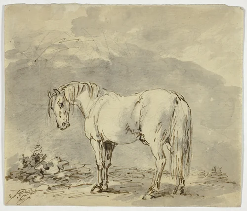 Standing Horse with Head Turned by Sawrey Gilpin, drawing, 1753-1807