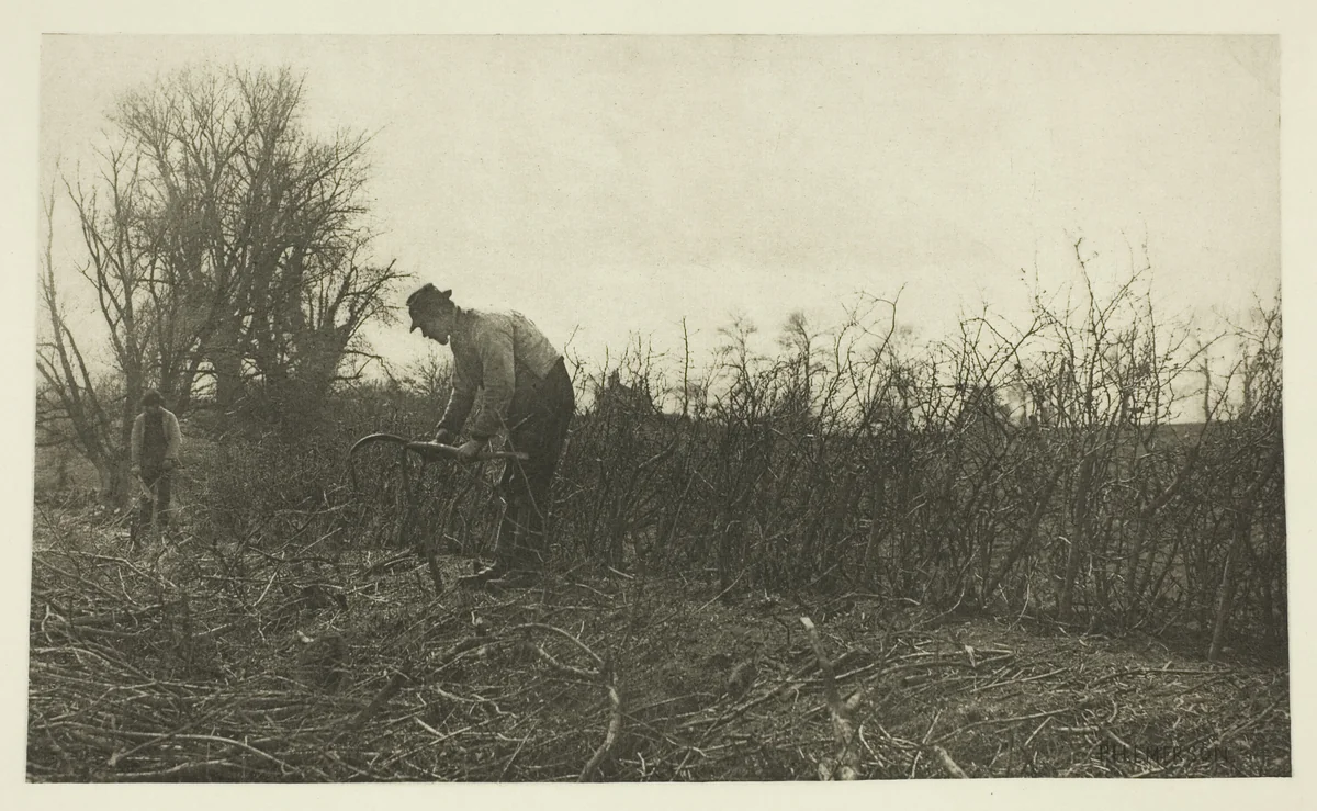 Fencing in Suffolk by Peter Henry Emerson, print, 1883-1887