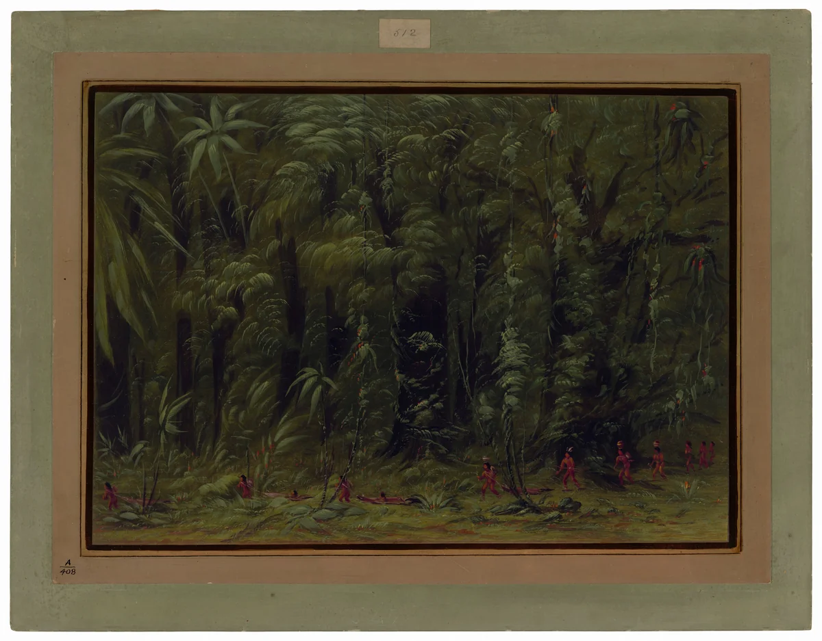 Interior of an Amazon Forest - Zurumati by George Catlin, painting, 1854-1869
