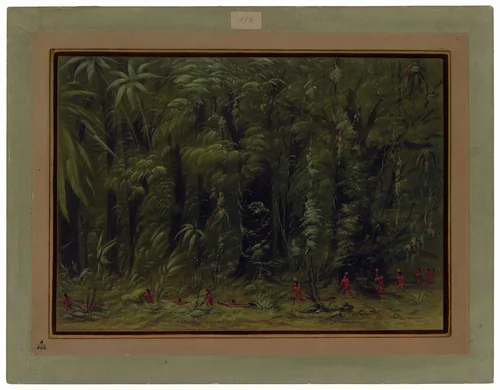 Interior of an Amazon Forest - Zurumati by George Catlin, painting, 1854-1869