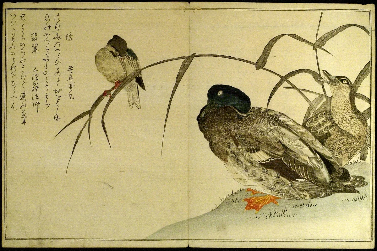 Myriad Birds: A Kyoka Competition (Momo chidori kyoka awase) by Kitagawa Utamaro (喜多川歌麿), book, 1785-1795