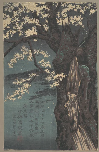 Cherry Tree by Kobayashi Kiyochika, print, 1874
