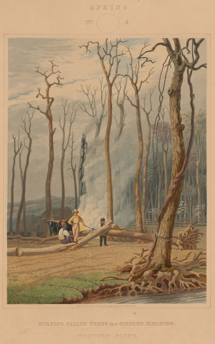 Spring--Burning Fallen Trees in a Girdled Clearing. Western Scene by William James Bennett, print, 1841