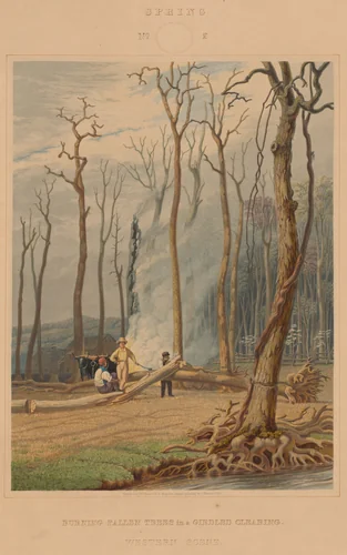 Spring--Burning Fallen Trees in a Girdled Clearing. Western Scene by William James Bennett, print, 1841