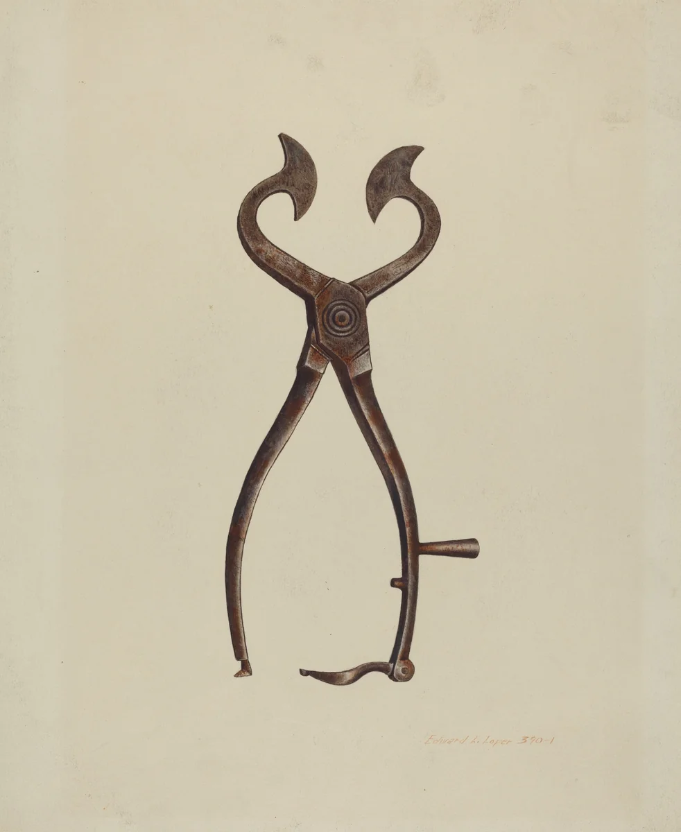 Sugar Cutter by Edward L. Loper, index of american design, 1939