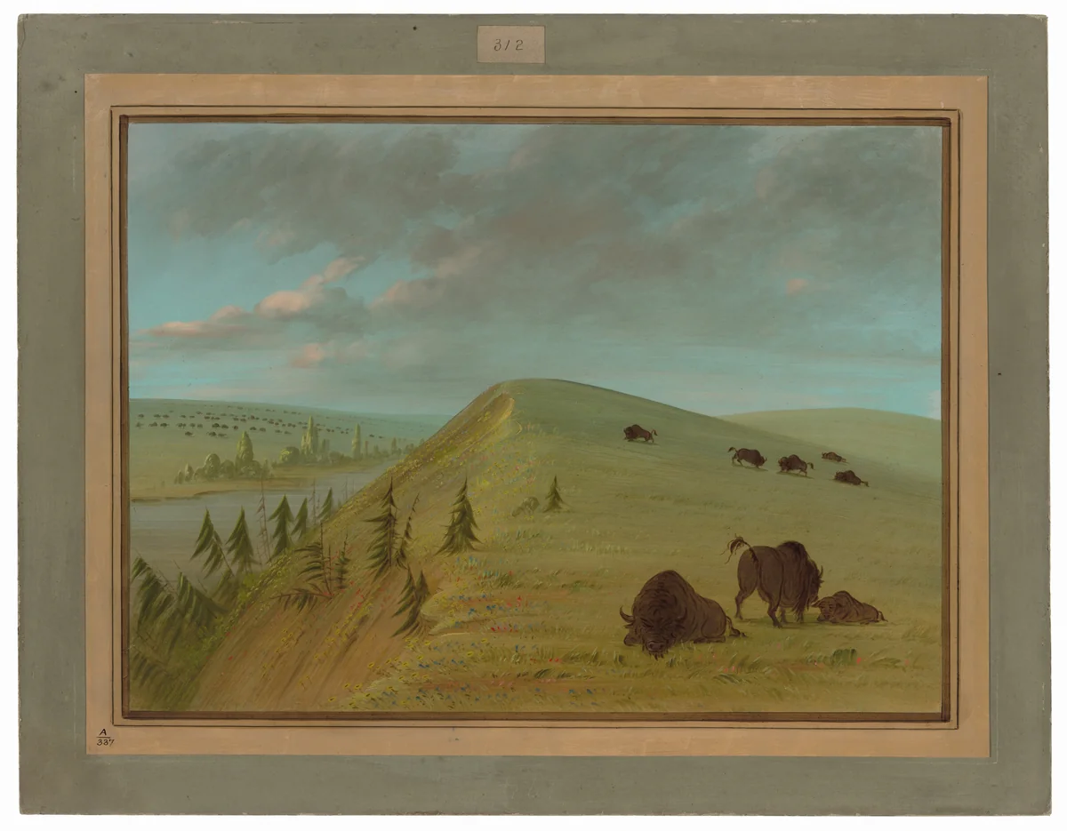Cedar Bluffs by George Catlin, painting, 1861-1869