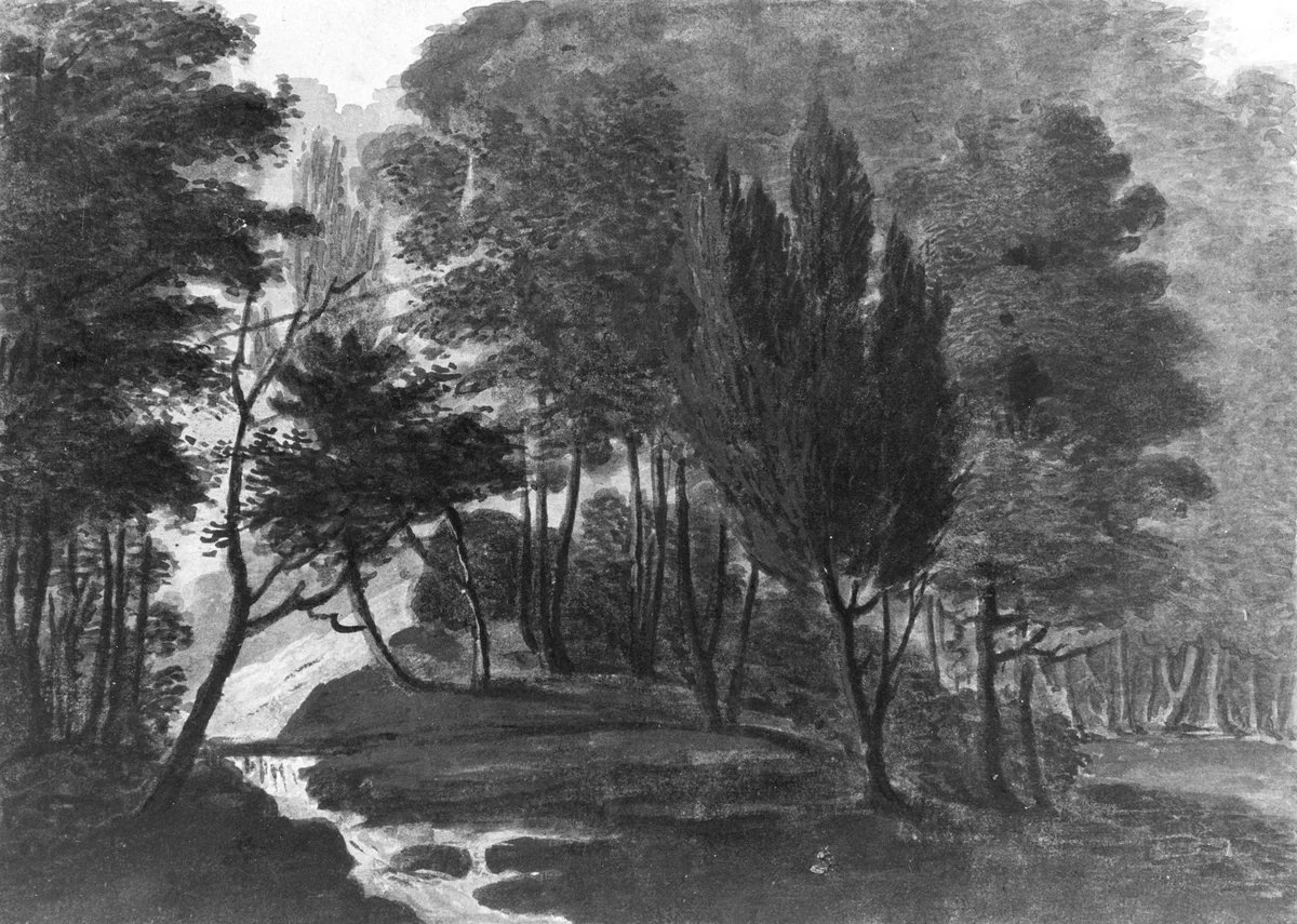A Woodland Scene (The Sun Reflecting on the Dew, a Garden Scene: Echo, Pennsylvania, A Place belonging to Mr. D. Bavarage, 1808) by Pavel Svinin, artwork, 1811-1816