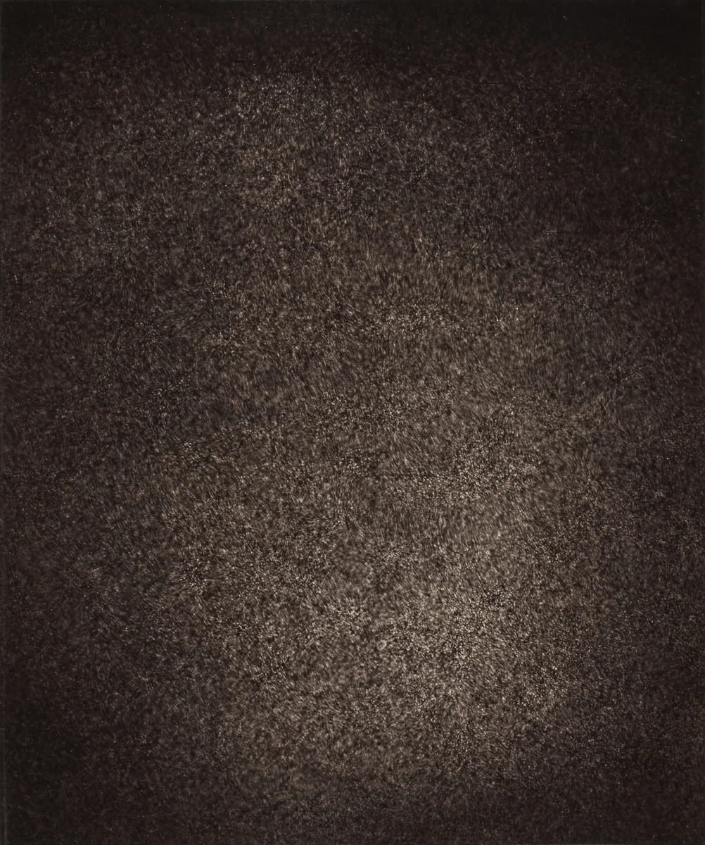 Région Centrale (Grand Réseau), July 7, 1889, 8h 13m 12s by Jules Janssen, photograph, 1877