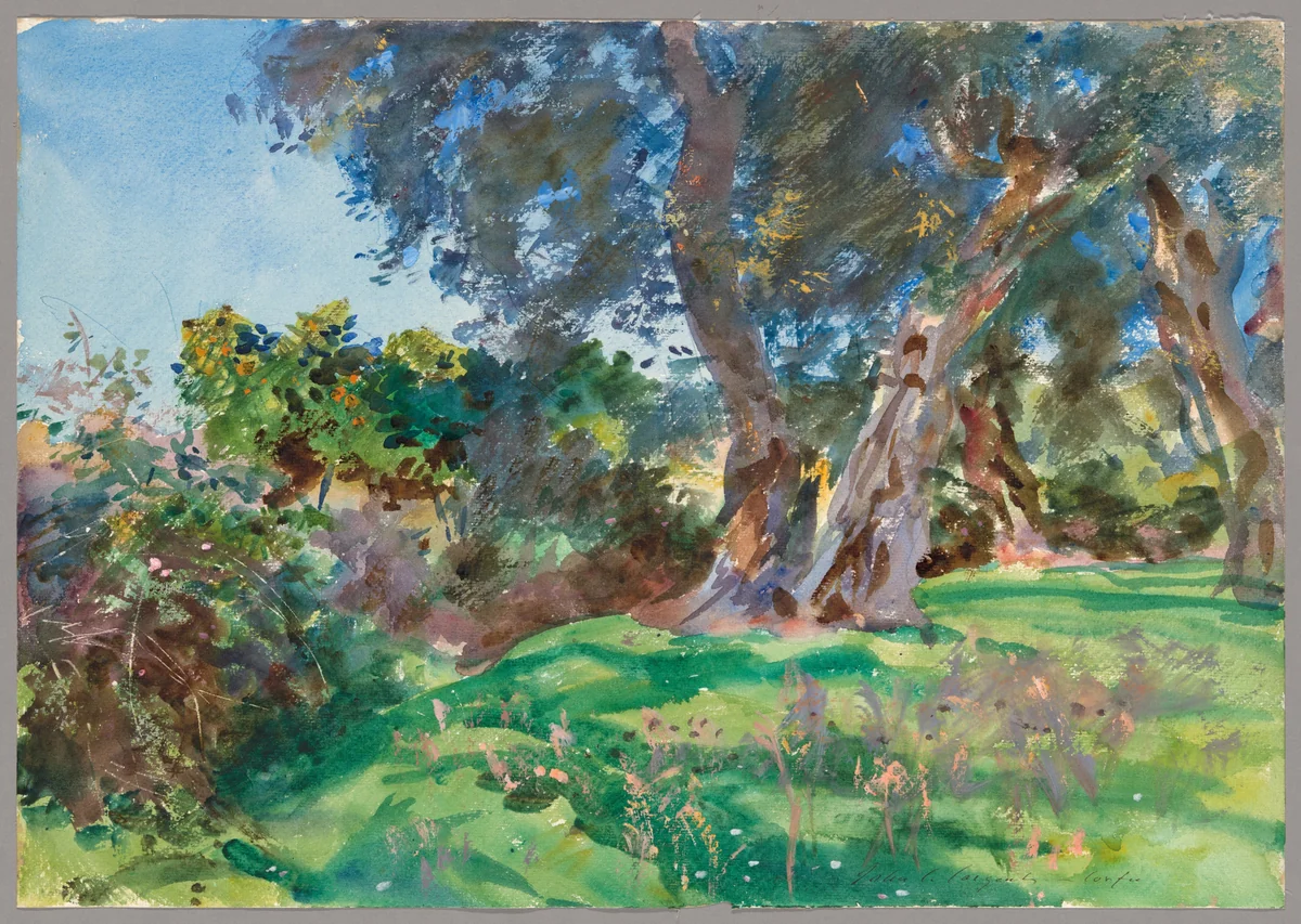 Olive Trees, Corfu by John Singer Sargent, painting, 1909