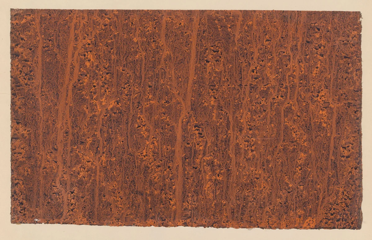 Stroommarmer in zwart op oranje papier by anonymous, other, 1850-1917