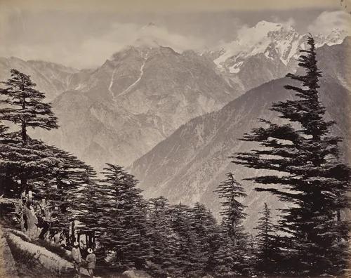 The Upper Himmalayahs. View Near China Mountains. Deoders in the Foreground by Samuel Bourne, photograph, 1863-1870