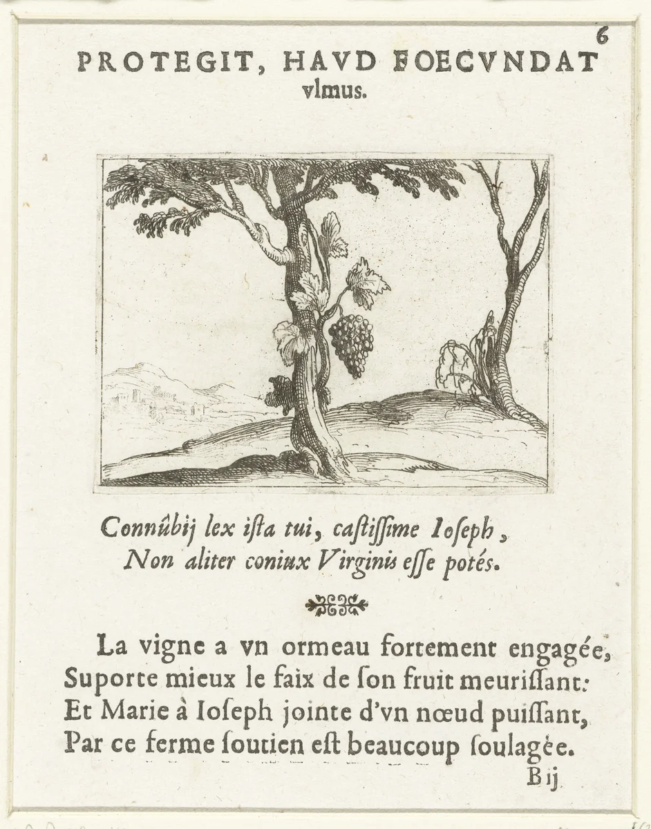 Wijnstok bij een boom by Jacques Callot, print, 1625-1629