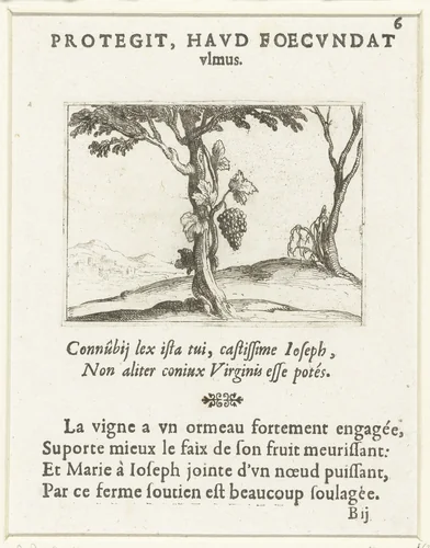 Wijnstok bij een boom by Jacques Callot, print, 1625-1629
