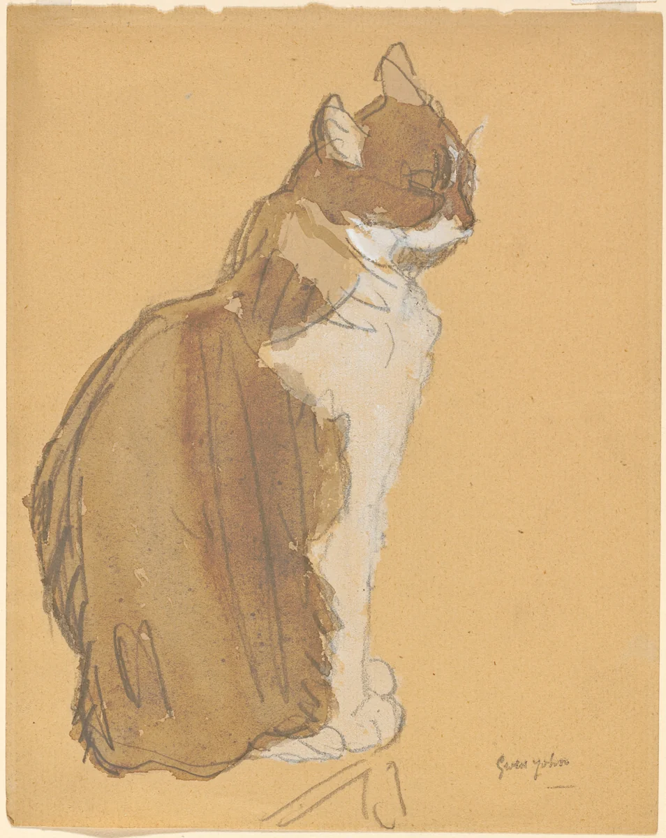 Cat with a White Front by Gwen John, drawing, 1876-1939