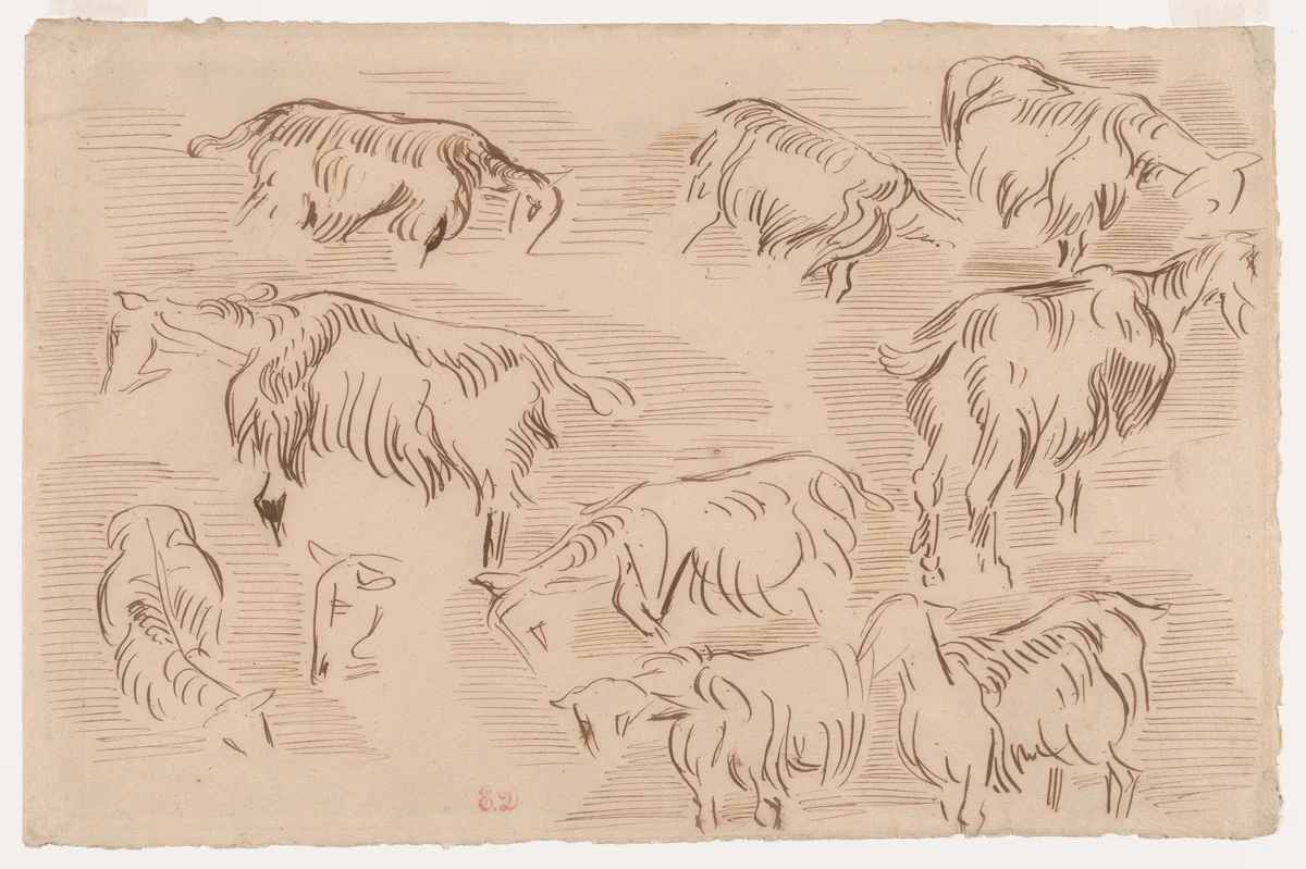 Ten Studies of Goats by Eugène Delacroix, drawing, 1837