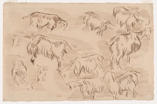 Ten Studies of Goats by Eugène Delacroix, drawing, 1837
